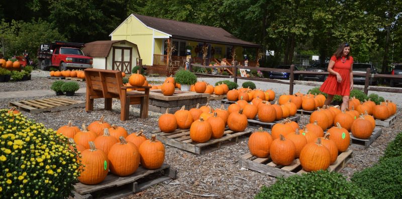 Wheeling Fall Signs of Fall in Wheeling | News, Sports, Jobs - The Intelligencer